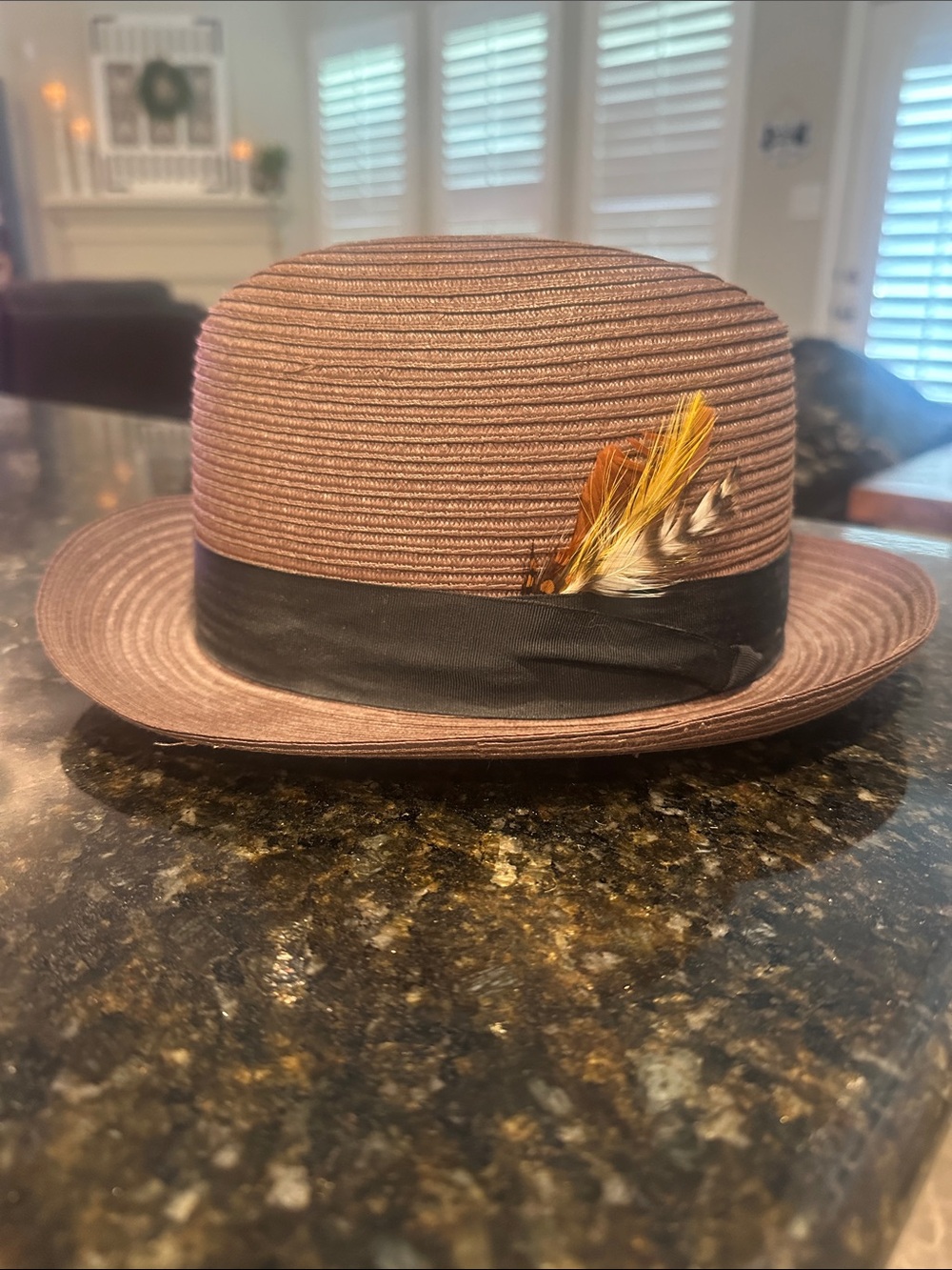 Men's Brown Penners Pinzano Fedora Hat with Feather Trim